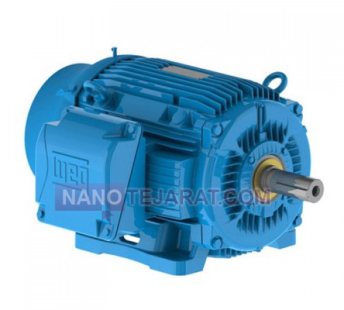 WEG three-phase electric motor